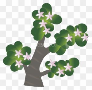 金のなる木の花無料イラスト 冬12 4月 Illustration Free Transparent Png Clipart Images Download