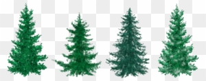 Fir Tree Clipart Group Tree - Christmas Tree Clip Art