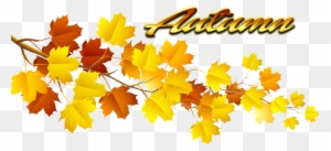 Autumn Leaves Png Pic - Autumn Leaf Png