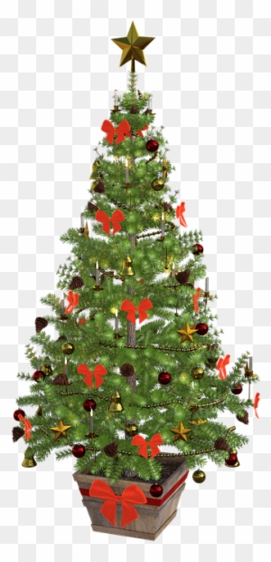 Christmas Tree, Christmas, Lights - Free Or Public Domain Christmas Tree