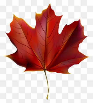 Beautiful Red Autumn Leaf Png Clipart Image - Red Autumn Leaves Clip Art
