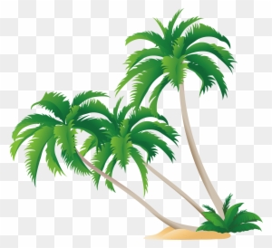 High-definition Video Display Resolution Wallpaper - Palm Tree Free Vector Png