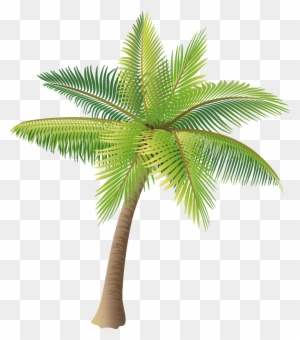 Coconut Tree Vector Material Png - Palm Tree Vector Png