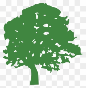 Best & Most Affordable Tree Removal Redlands - Tree Clipart Green