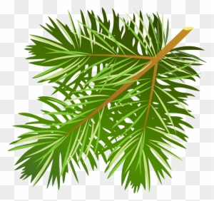 Pine Tree Branch Clipart - Pine Leaves Clip Art