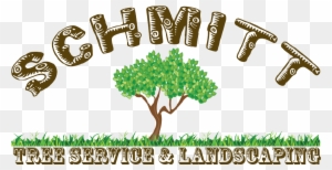 Professional Tree Removal And Landscaping Services - Tree Service And Landscaping Clipart