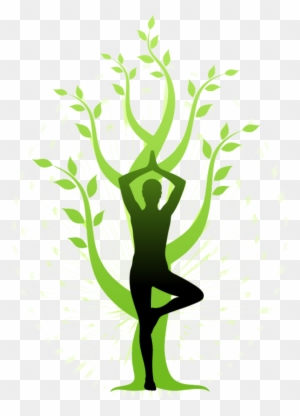 Yoga Tree Png