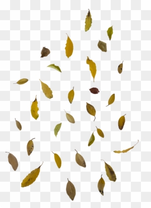 Falling Autumn Leaves Free Png Image - Falling Leaf Overlay Png