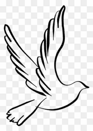 White Dove Flying Clipart - Black And White Dove Png