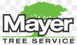 Tree Service Mayer Tree Service Locations Rh Mayertree - Web Design