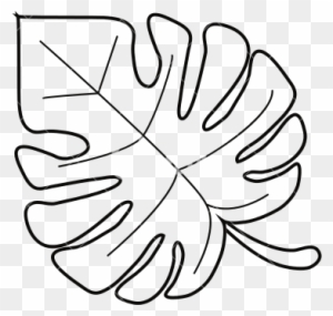 Leave Outline - Monstera Leaf Outline - Free Transparent PNG Clipart