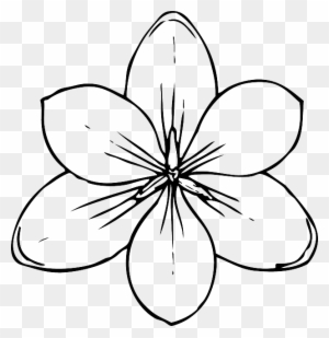 Top, View, Simple, Outline, Drawing, Sketch - Coloring Pages Of Flowers