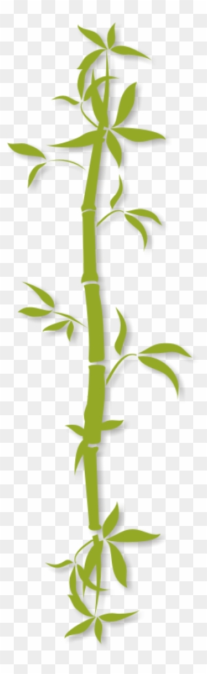 bamboo clipart transparent png