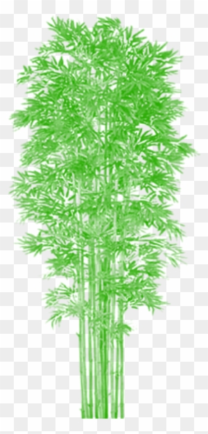 pic Transparent Background Bamboo Tree Clipart bamboo tree clipart vector png tree