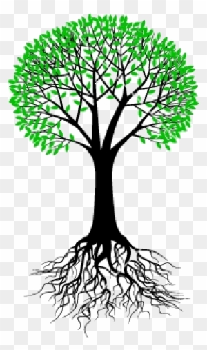 Tree Branch Vector Png About Us - Tree With Roots Vector