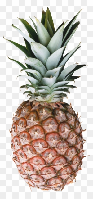 Pineapple Clip Art Free Clipart Images - Pineapple Fruit Clipart Png ...