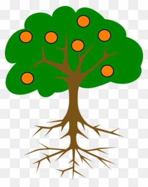 Cartoon Orange Tree - Tree With Roots And Fruits