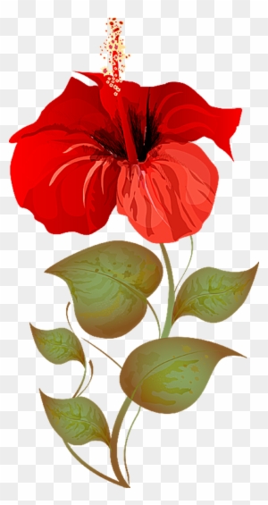 Craft - Hibiscus Plant Clipart