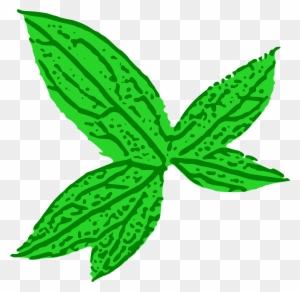 Free Green Leaf - Green Leaf Clip Art