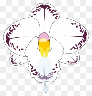 Clipart Wild Orchid - Wild Orchid