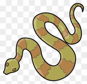 Snake Cartoon png download - 1000*1431 - Free Transparent Tshirt