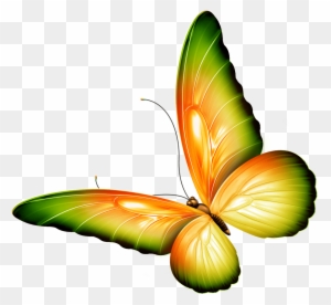 Butterfly - Clipart Flowers And Butterflies