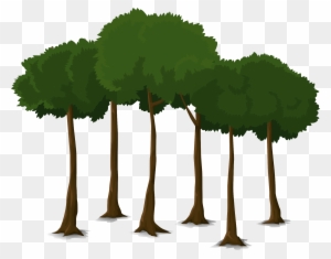 Pin Arbre Clipart - Canopy Trees Clipart