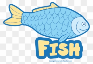 Free Food Groups Clipart Fish With Names - Fish Clipart Name