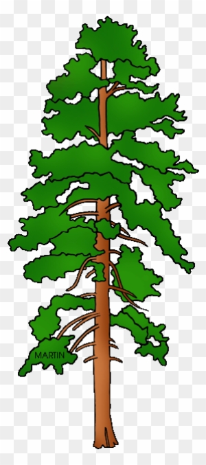 United States Clip Art By Phillip Martin, State Tree - Fallen Tree On House Clipart