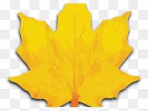 Maple Leaf Clipart Big Leaf - Maple Leaf Clip Art