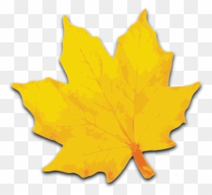 Free Yellow Leaves Clip Art - Yellow Maple Leaf Clip Art