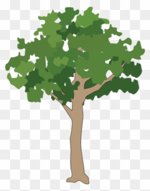Drawn Tree Rainforest - Rainforest Tree Vector Png