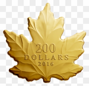 Pure Gold Coin Maple Leaf Silhouette Mintage 800 - Maple Leaf Shaped Gold Coin