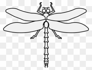 Dragonfly Clipart Black And White, Transparent PNG Clipart Images Free ...
