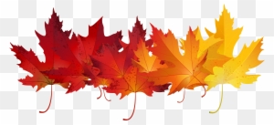 Red Autumn Leav Red Autumn Leaves Transparent Clip - Fall Leaves Clip Art