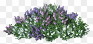Download Bush Free Png Photo Images And Clipart - Flower Bush Png