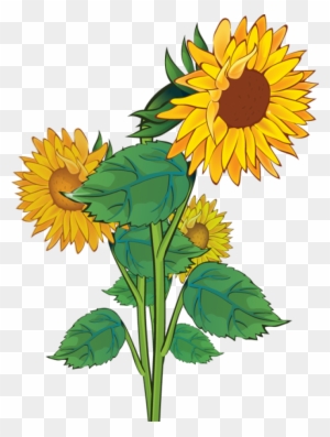 Free Sunflower Clipart Public Domain Flower Clip Art - Clipart Sun Flower