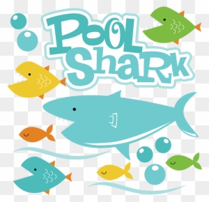 Free Free 61 Whale Shark Svg Free SVG PNG EPS DXF File