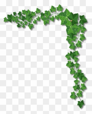 Ivy Page Borders - Free Transparent PNG Clipart Images Download