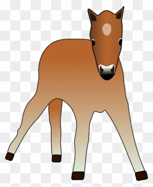 Foal - Horse Clipart