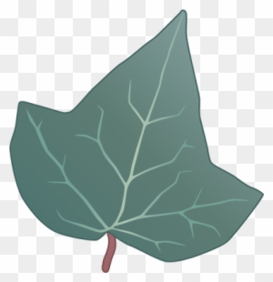 Drawn Leaf Ivy Leaf - Ivy Leaf Vector