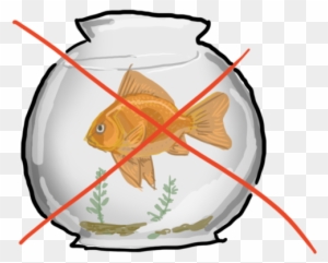Goldfish Clipart Orange Things - Gold Fish In A Bowl