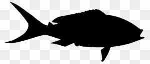 Download Yellowtail Fish Shape Comments Yellow Tail Fish Svg Free Transparent Png Clipart Images Download