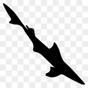 Dogfish Long Thin Fish Shape Vector - Pescado Delgado Animado - Free Transparent PNG Clipart Images Download Dogfish Long Thin Fish Shape Vector - Pescado Delgado Animado - Free Transparent PNG Clipart Images Download