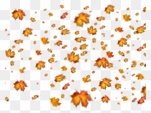 Fall Leaves Png Overlay For Photoshop - Overlay De Folhas Photoshop