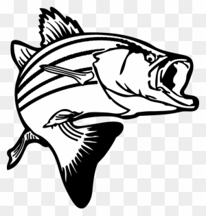 Fortune Clipart Pictures Of Fish Jumping Bass Clip - Fish Clipart Black And White
