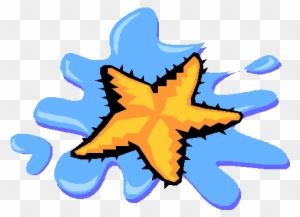 Little Starfish - Gif Animado De Estrellas De Mar