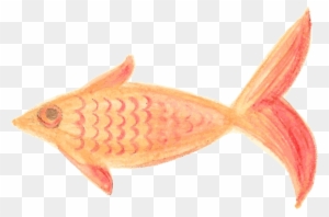 Fish Orange Patterned Traced - Fish Painting Png