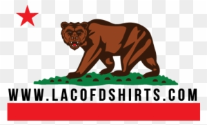 Best Of La County Fire Pit Regulations Los Angeles - California Bear Flag Republic