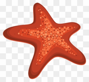 Pin Starfish Clipart Transparent Background - Dibujo Estrella De Mar